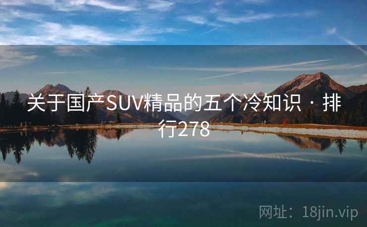 关于国产SUV精品的五个冷知识 · 排行278