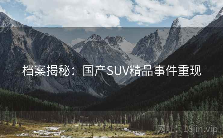 档案揭秘：国产SUV精品事件重现