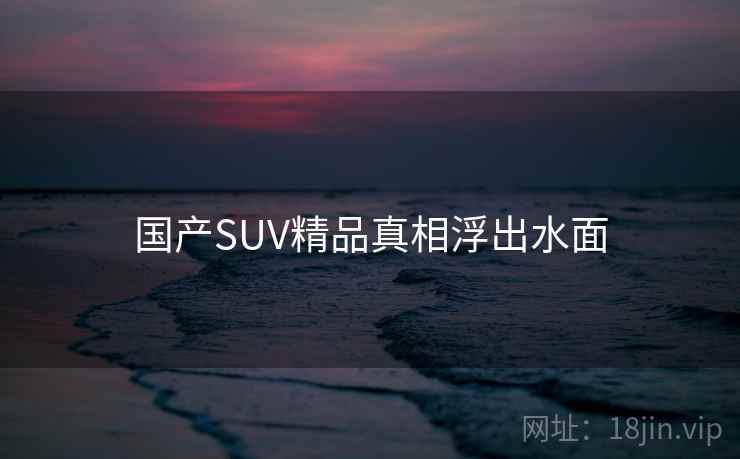 国产SUV精品真相浮出水面