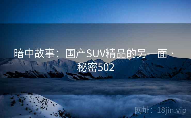 暗中故事:国产SUV精品的另一面 · 秘密502
