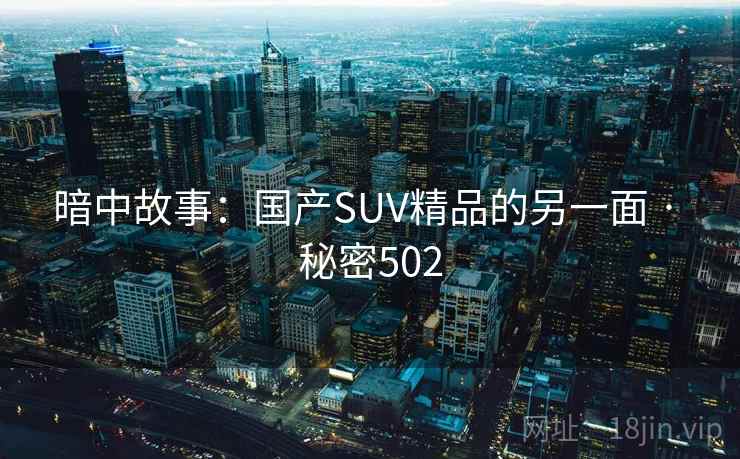 暗中故事:国产SUV精品的另一面 · 秘密502