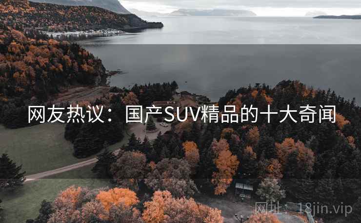 网友热议:国产SUV精品的十大奇闻