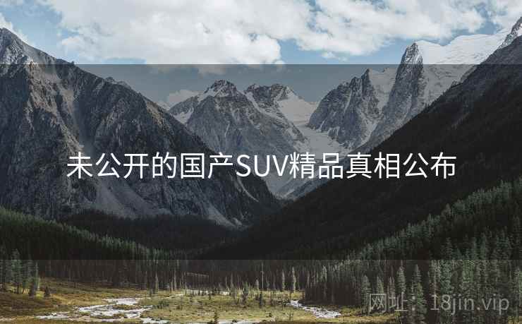 未公开的国产SUV精品真相公布